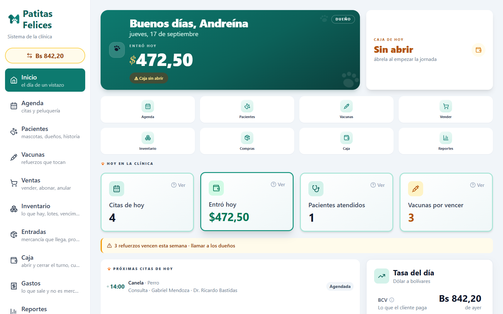 El inicio: el día de la clínica de un vistazo